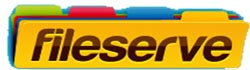 Fileserve Logo